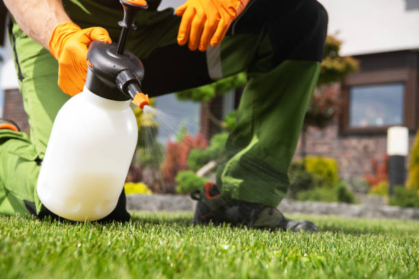 Best Affordable Pest Control Services  in North Charleroi, PA