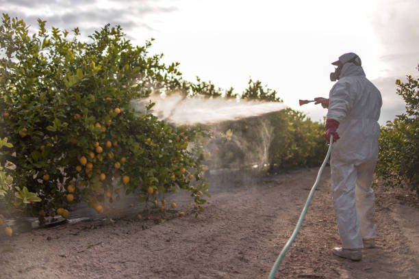 Best Commercial Pest Control Services  in North Charleroi, PA