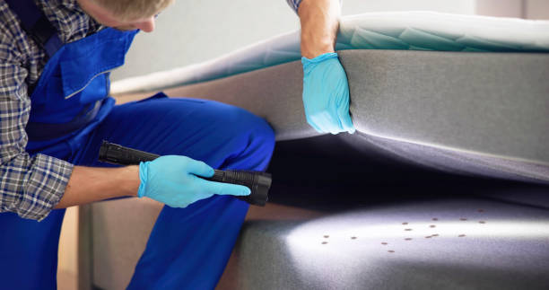 Best Exterminator Services  in North Charleroi, PA
