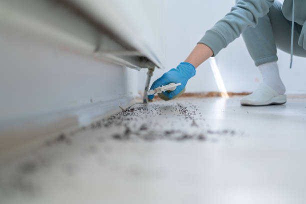 Trusted North Charleroi, PA Pest Control Experts